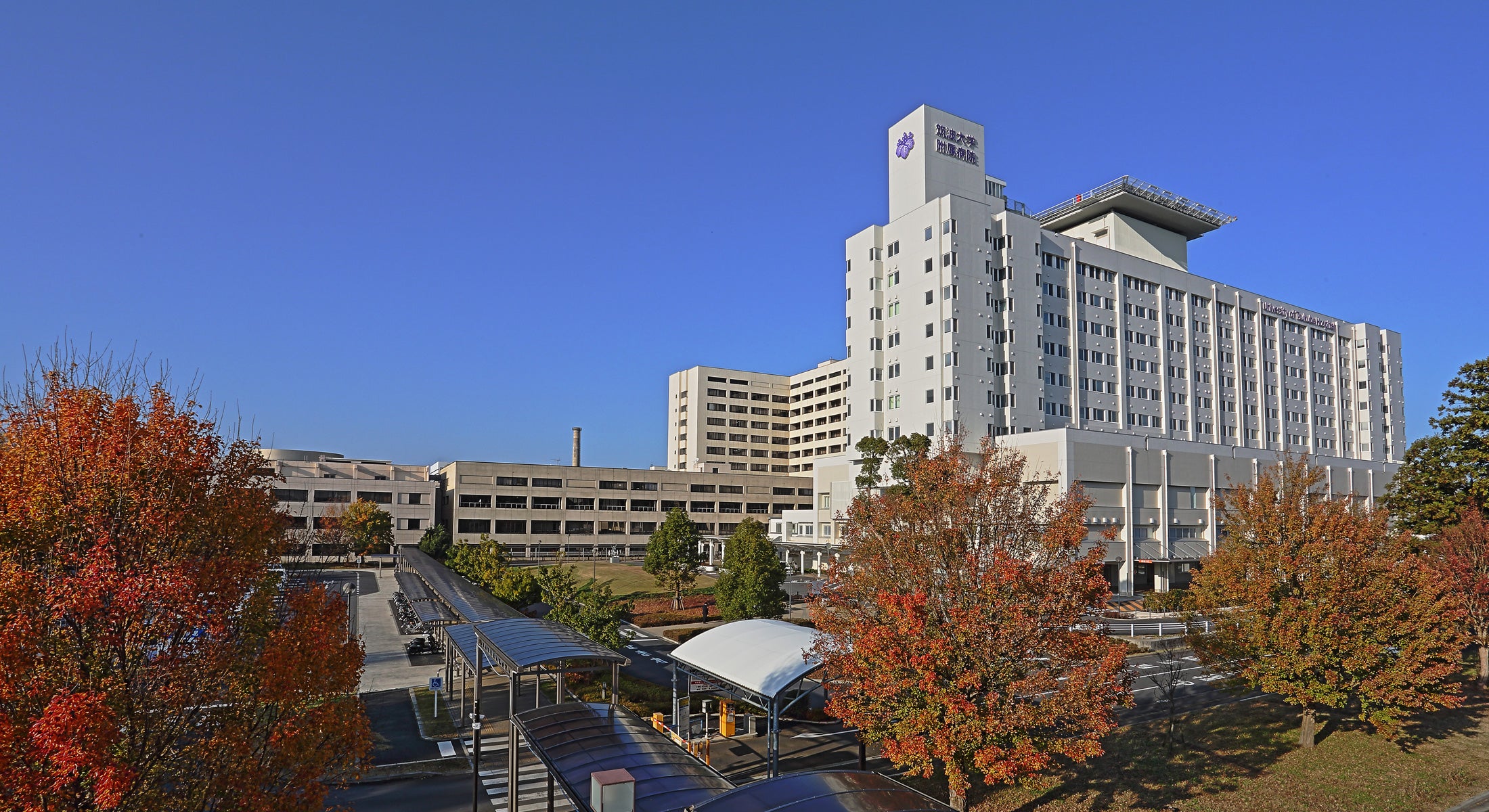 筑波大学附属病院