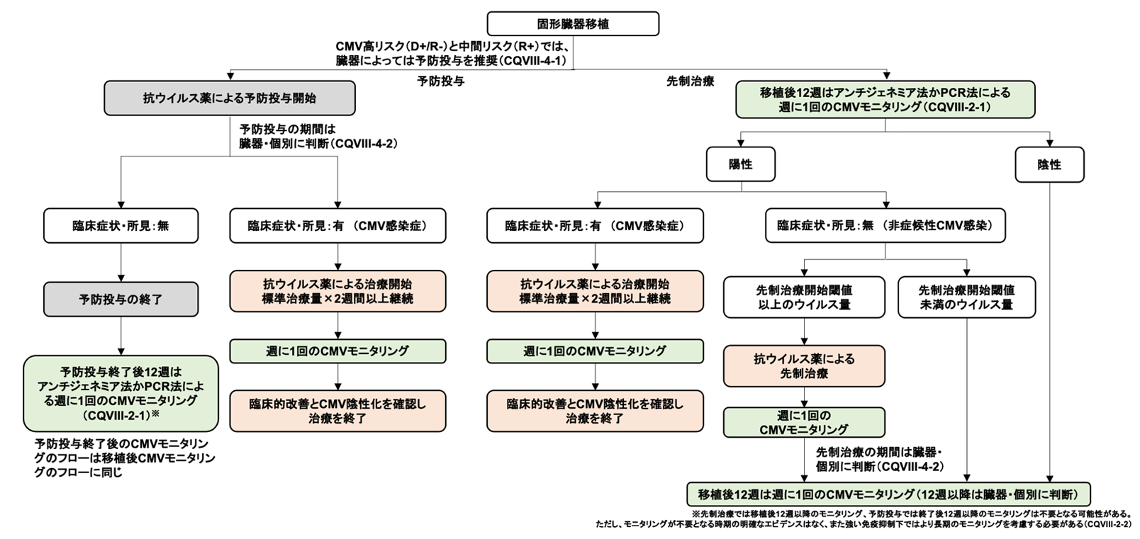 SOT(固形臓器移植) 固形臓器移植後のCMV感染対策及びCMV感染症の治療フロー