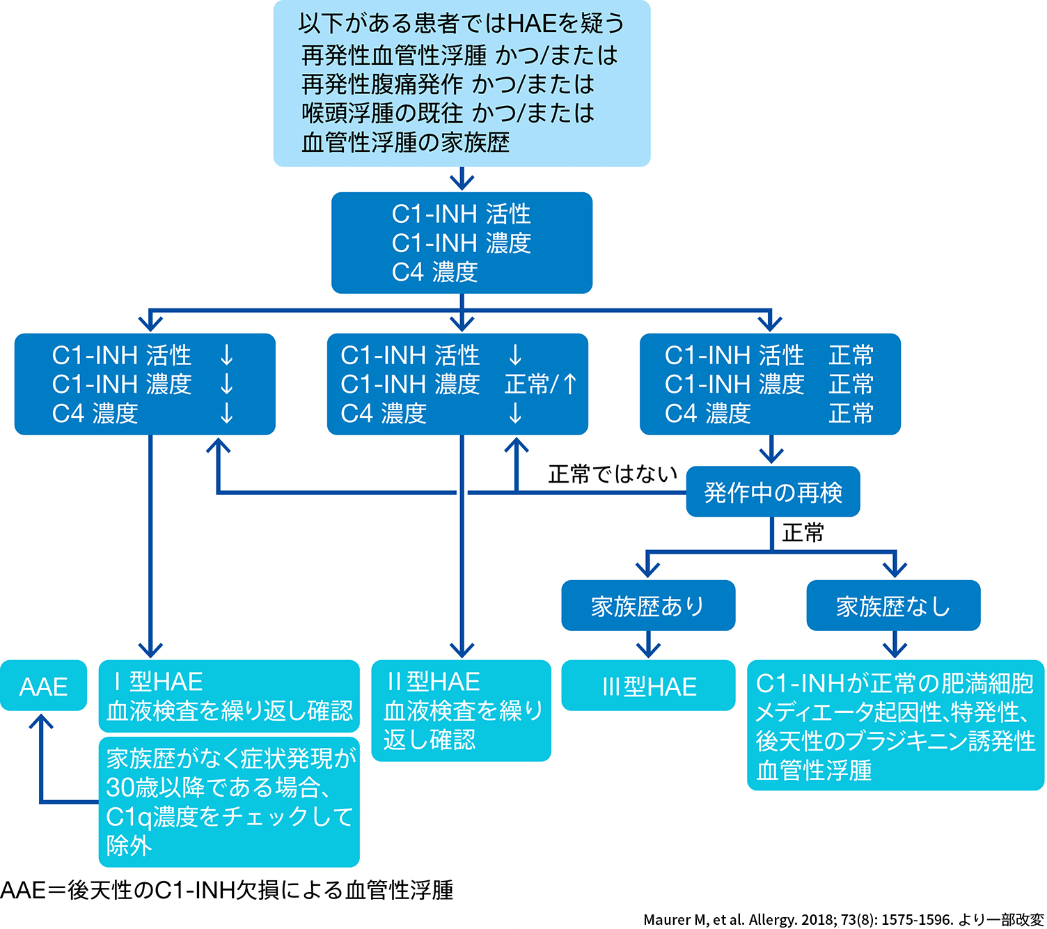 図 HAE診療のためのWAOガイドライン:Ⅰ型/Ⅱ型HAEの診断アルゴリズム