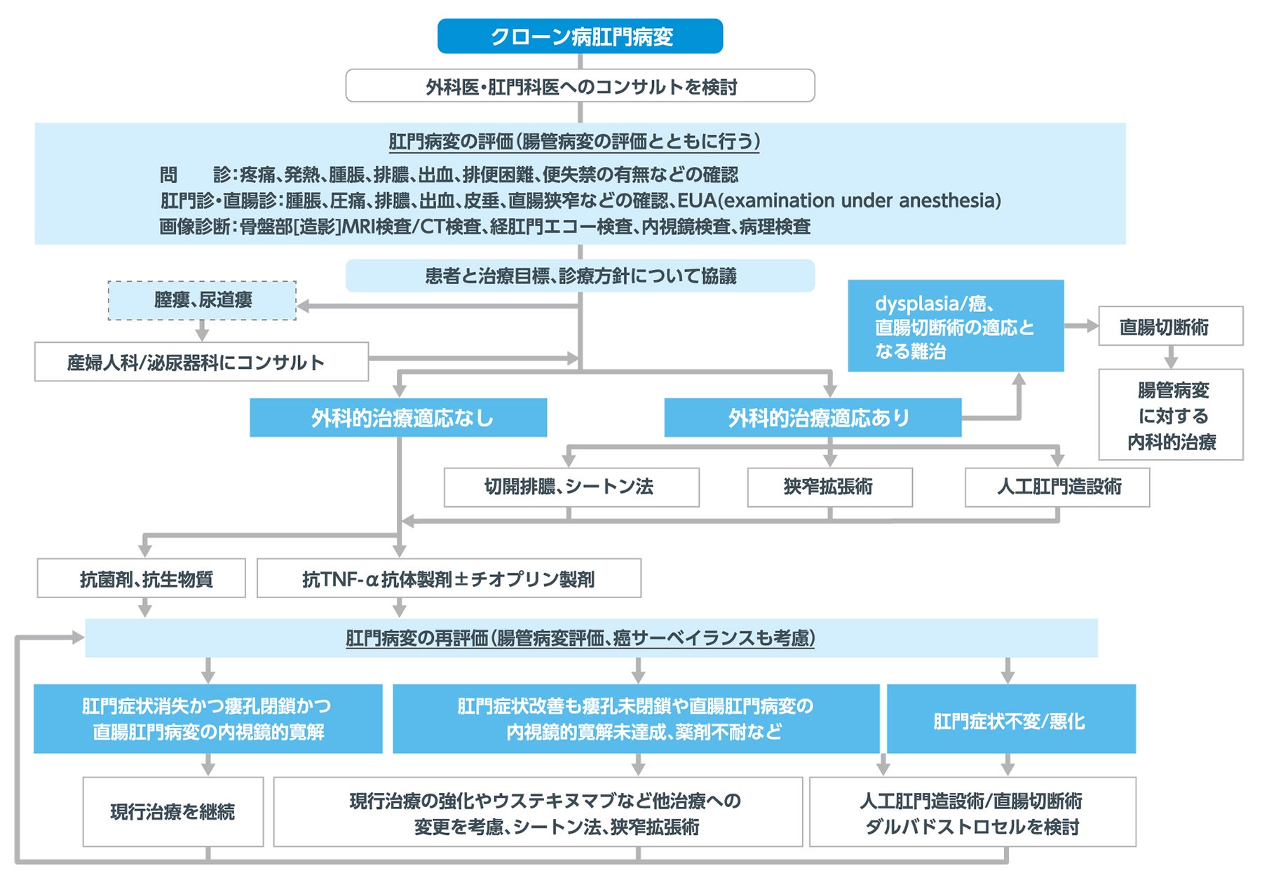 「治療の概要」表1