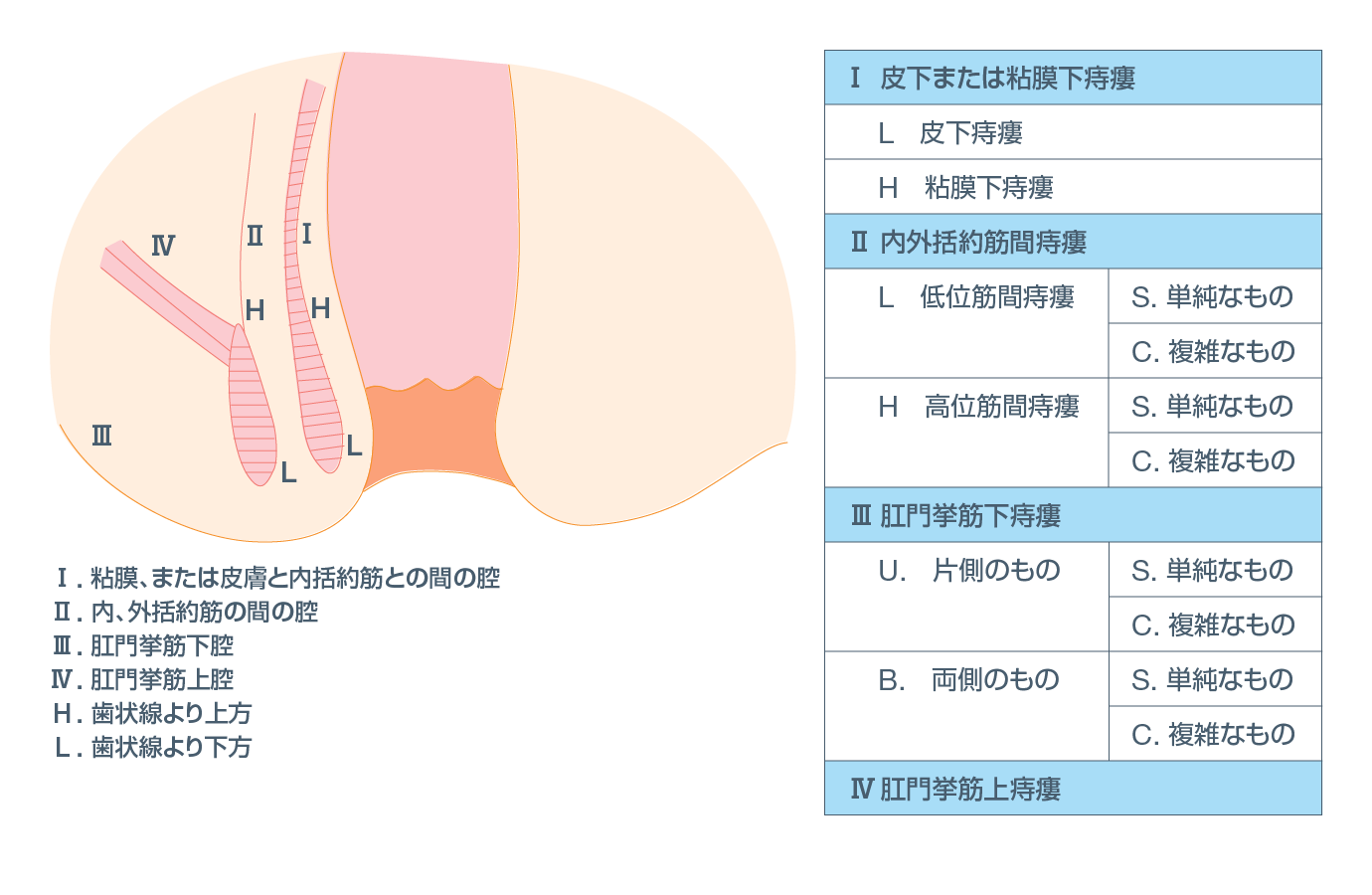 図1.隅越分類