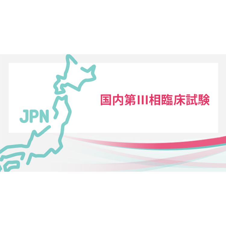 国内第Ⅲ相臨床試験