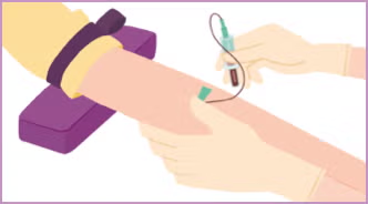 血液サンプル入力方法