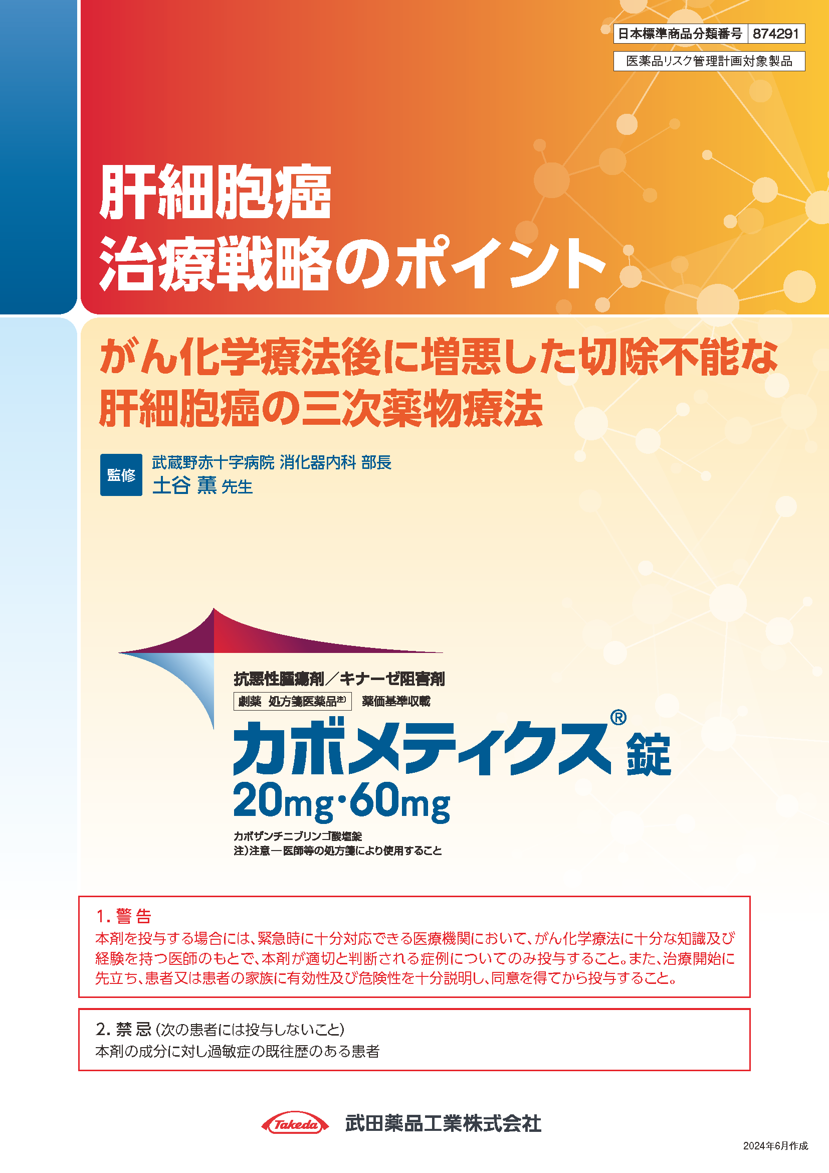 肝細胞癌治療戦略のポイント がん化学療法後に増悪した切除不能な肝細胞癌の三次薬物療法