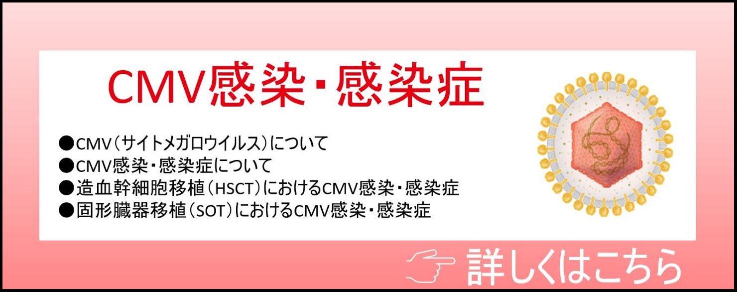 CMV感染・感染症