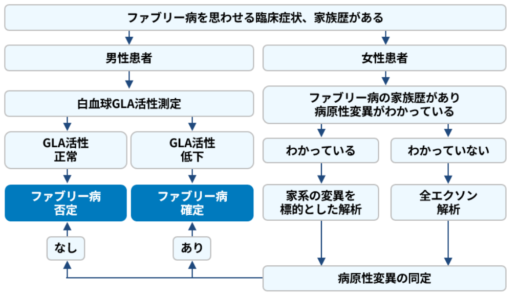 ファブリー病診断のためのフローチャート