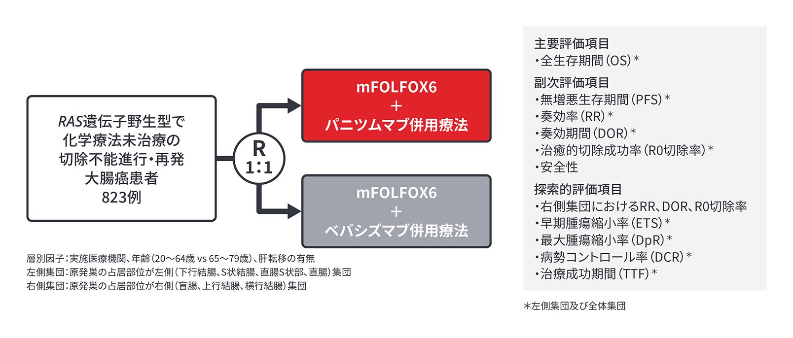 主研究