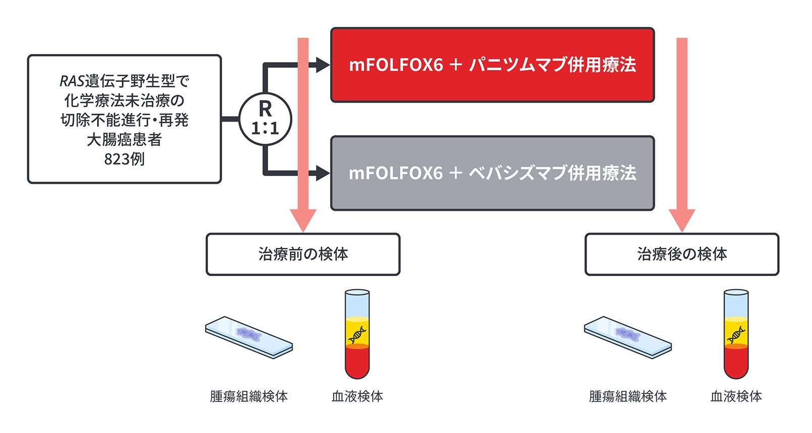 付属研究