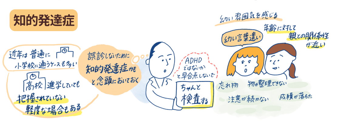 知的発達性