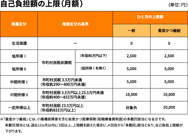 自己負担額