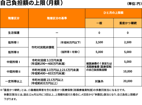 自己負担額
