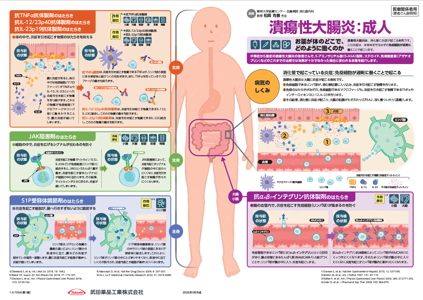 インフォームドコンセント資材（作用機序・投与スケジュール）