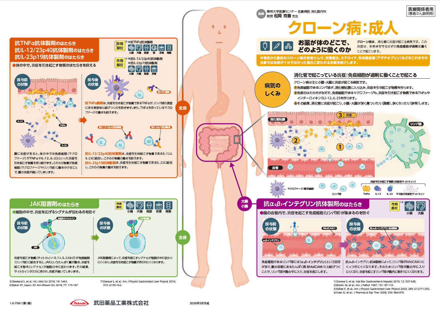 インフォームドコンセント資材（作用機序・投与スケジュール）