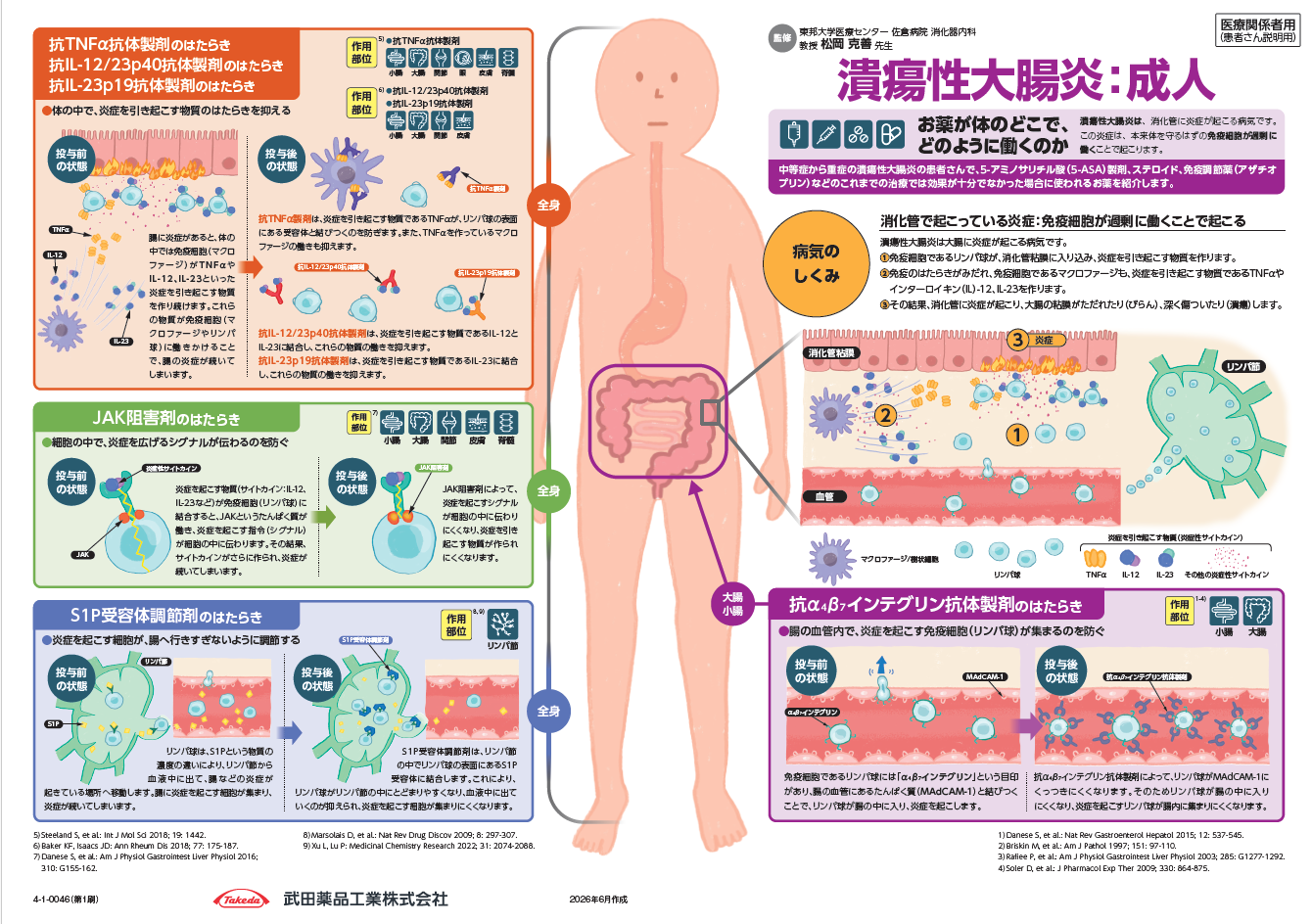 インフォームドコンセント資材（作用機序・投与スケジュール）