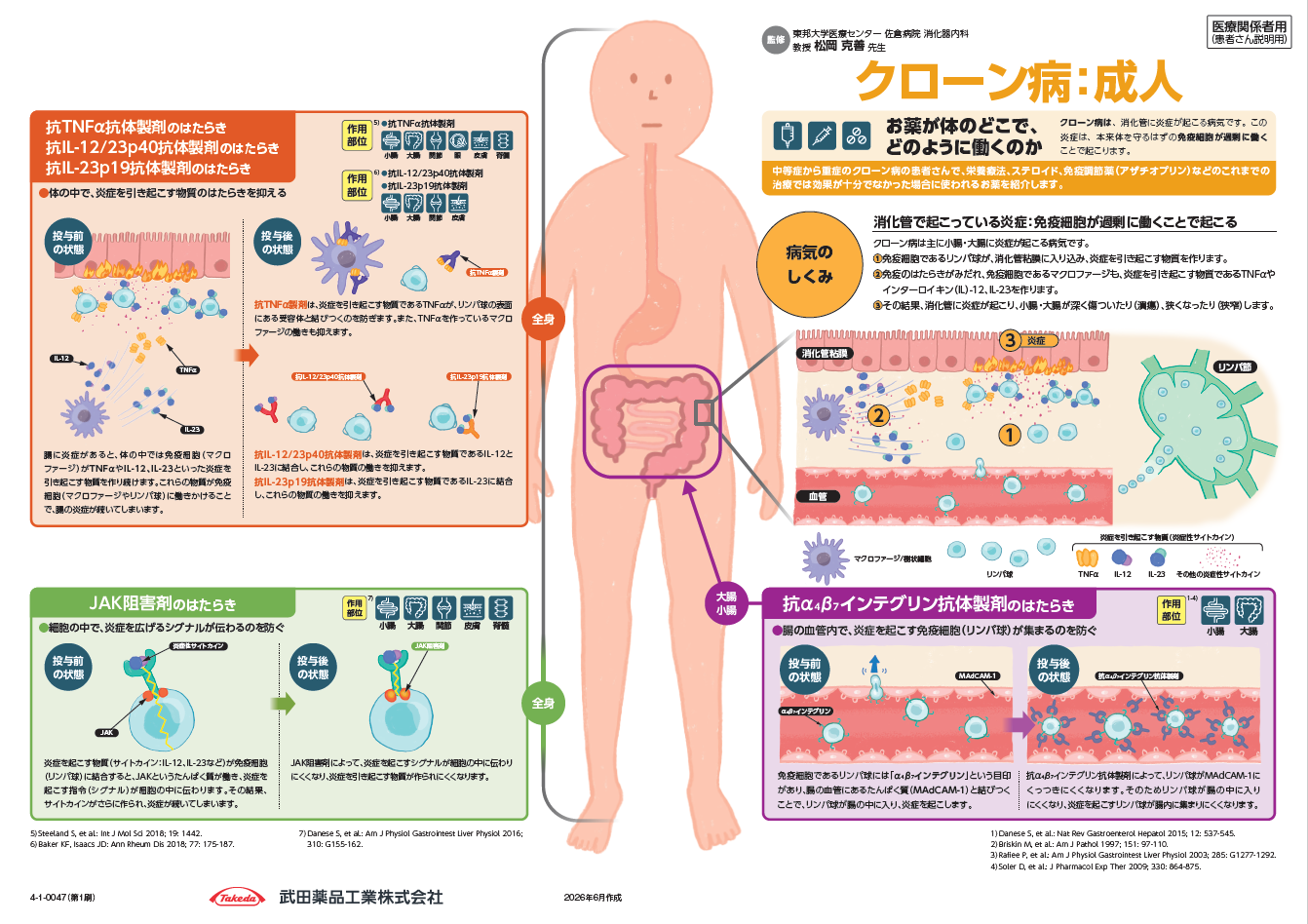 インフォームドコンセント資材（作用機序・投与スケジュール）